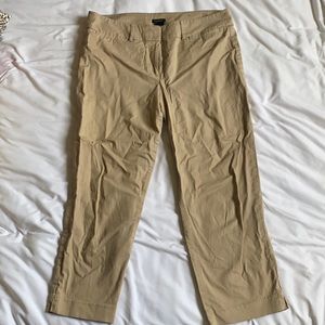 Ann Taylor Khakis